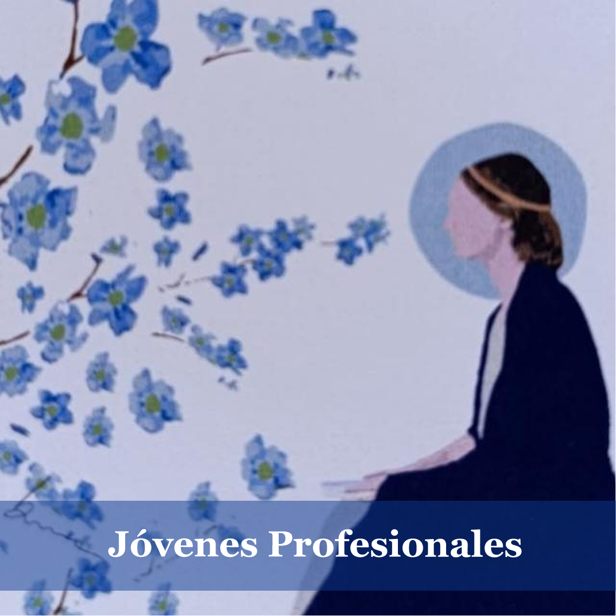 Jóvenes Profesionales
