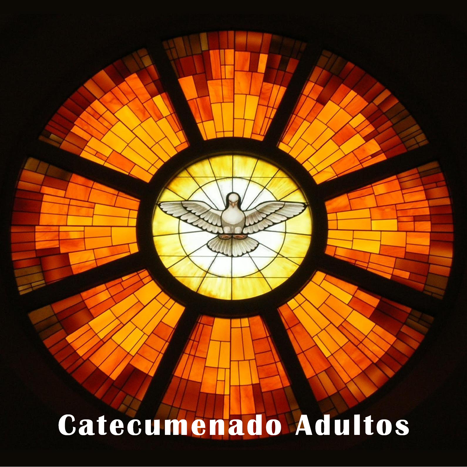 Catecumenado de adultos